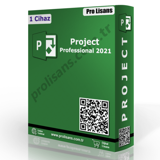 Project Professional Lisans